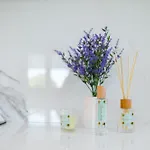 דירה Eva's Cozy Place העיירה קוס